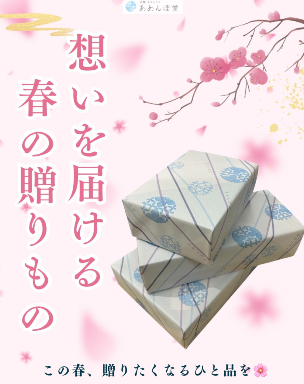 春の贈りものに🌸