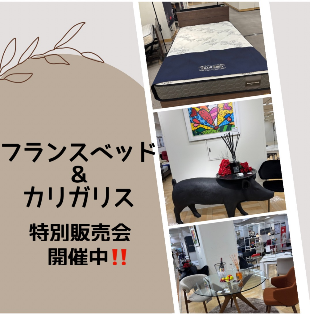 📣フランスベッド特別販売会開催中‼️