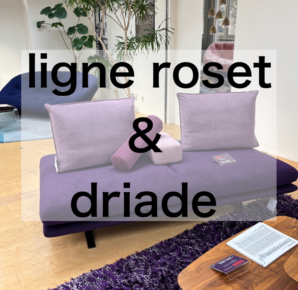 イベント📣デザイナーズ家具特集‼️