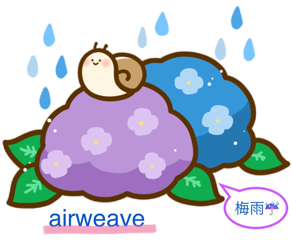 梅雨ジメジメ☔️