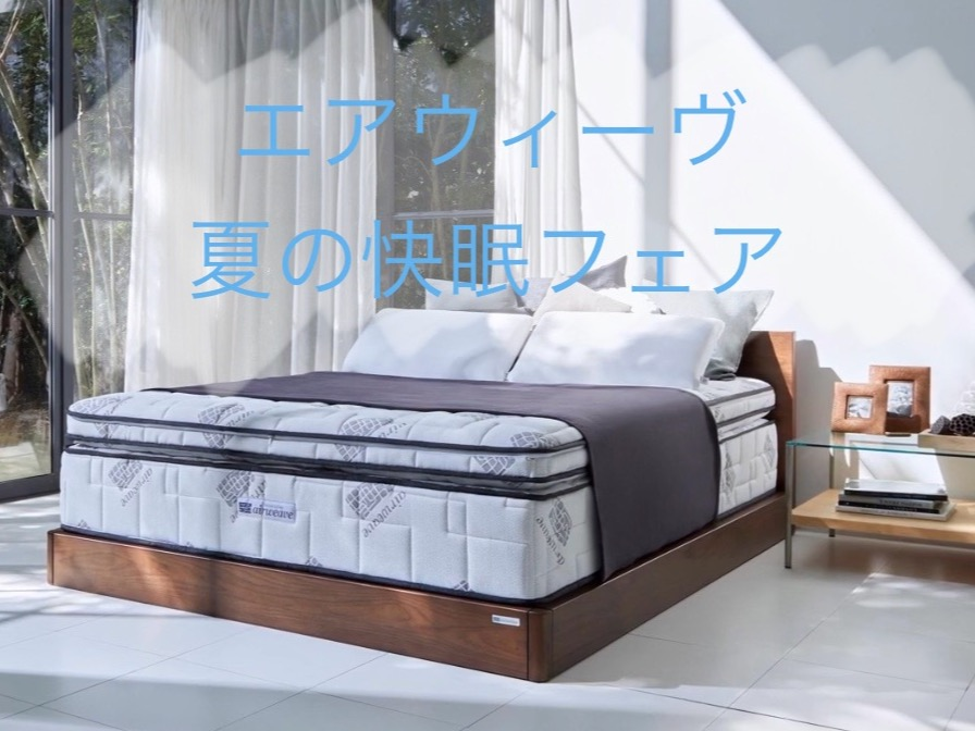 夏の快眠フェア🌻