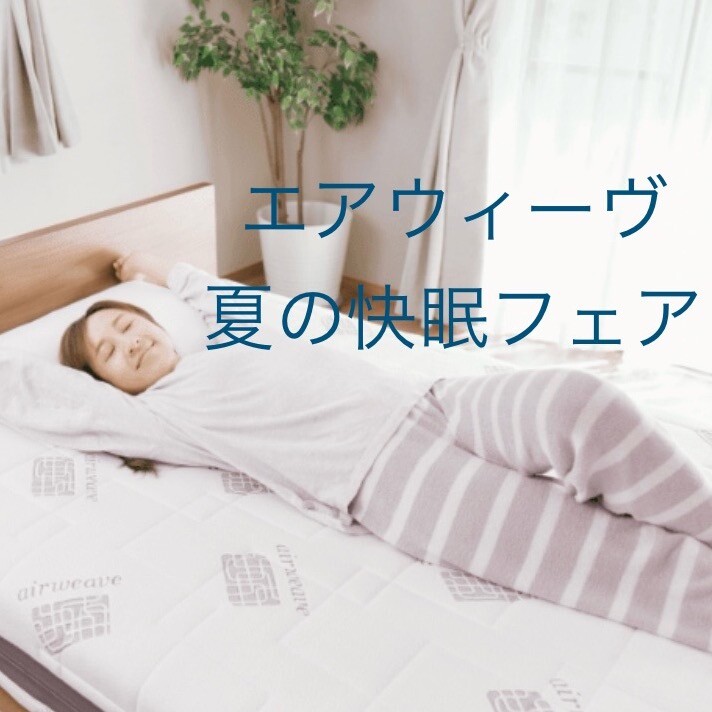 夏の快眠フェア🌻