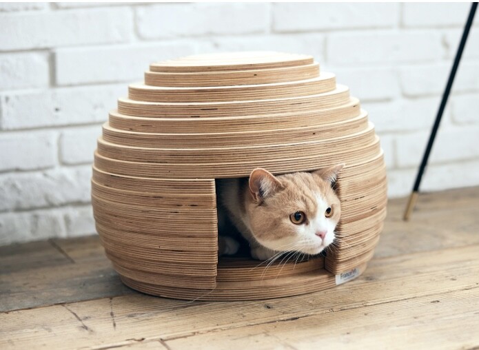 🐈‍⬛...ペットと暮らす毎日が楽しい🐕...