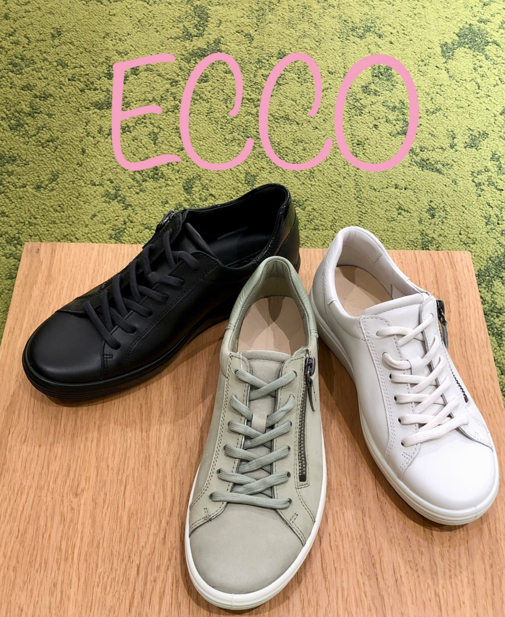 〚ECCO〛NEW_カラー‼︎