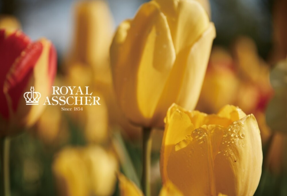 ロイヤル・アッシャーフェア開催中！