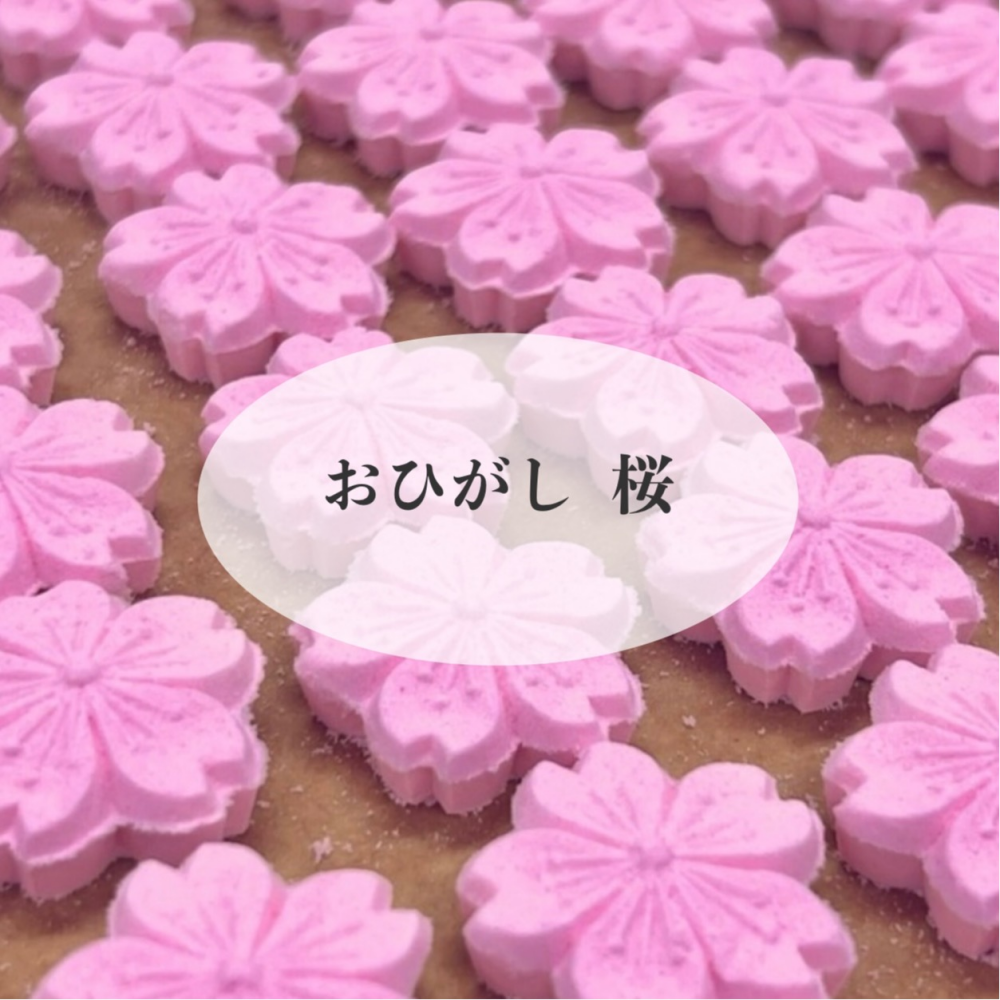 【永楽屋】春を映す桜のおひがしご案内