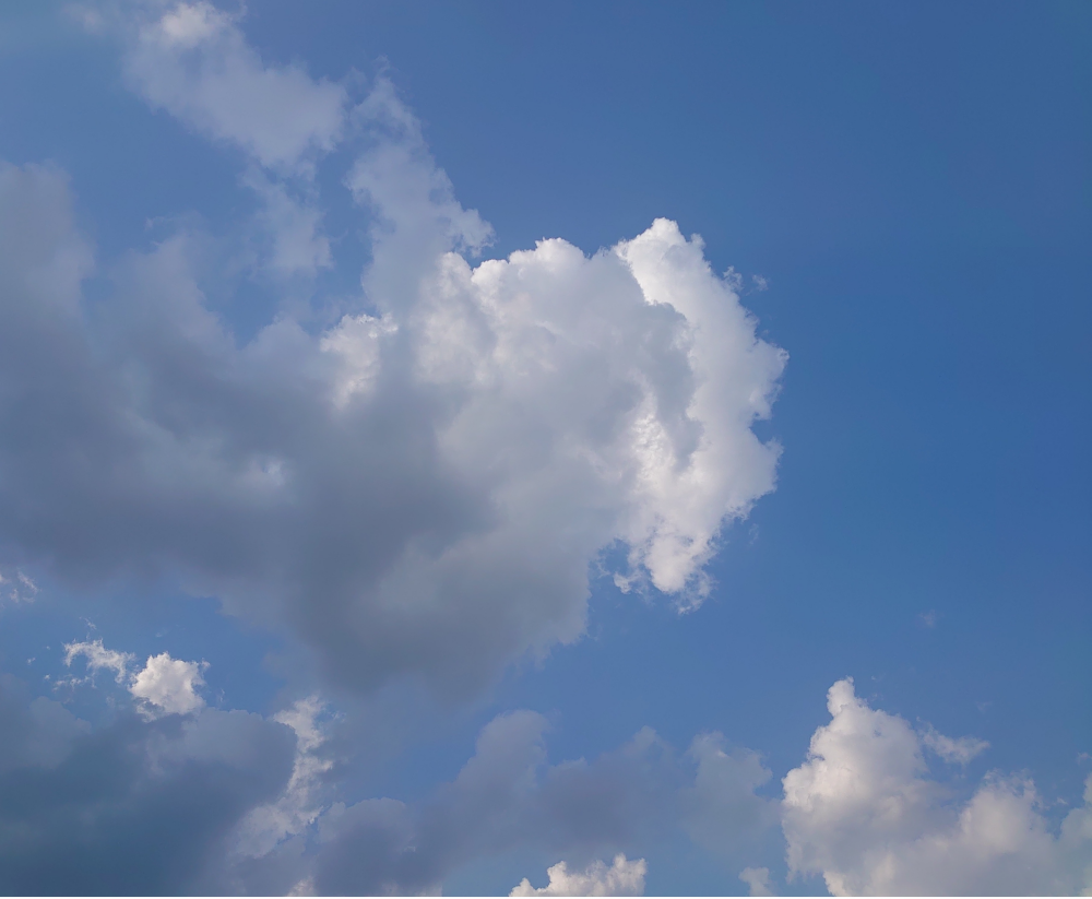 始まりました‼️WBC⚾️⚾️