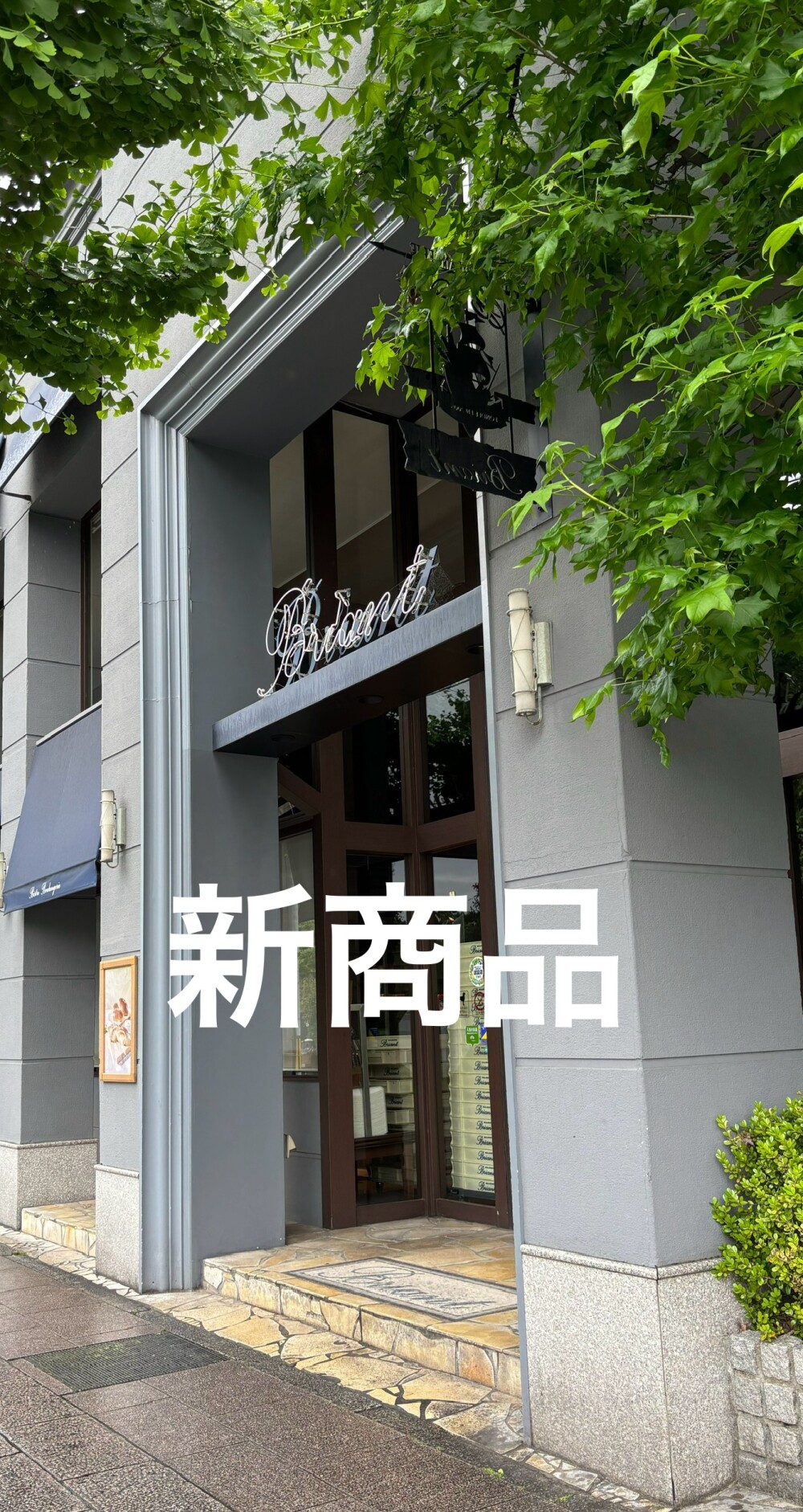ブリアン🍀新商品🌿‬