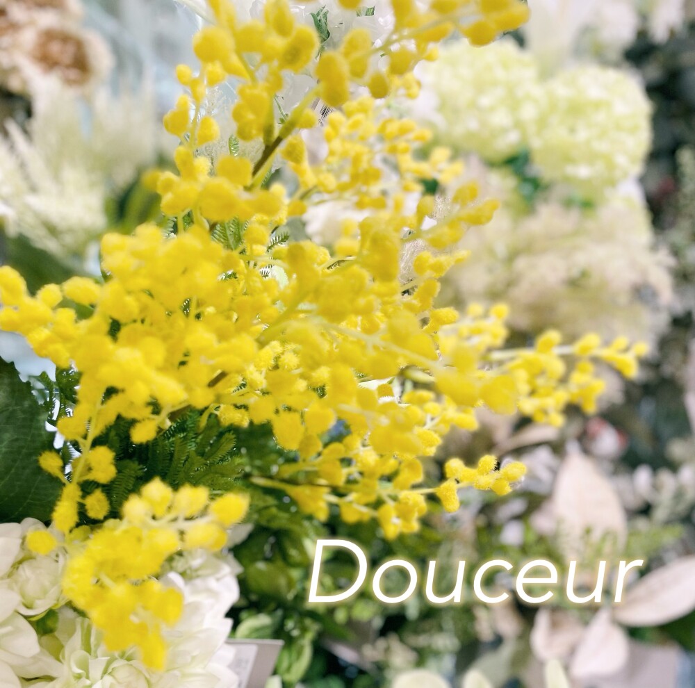 春のお花🌸