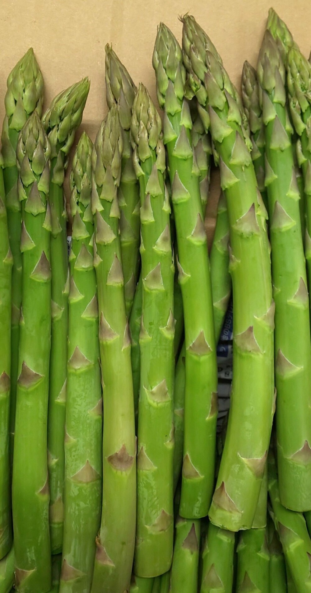 うちやま農園のアスパラガス初入荷！