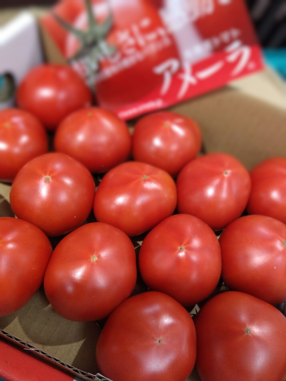 ツキ初め市✨✨