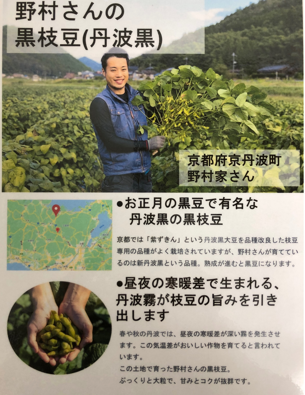 丹波黒枝豆宣伝販売