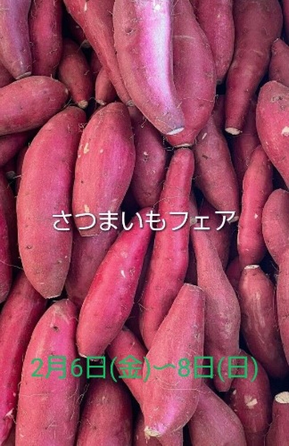 さつまいも🍠フェア