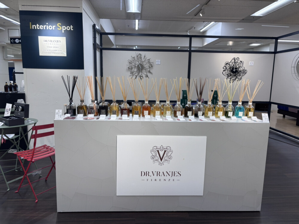 インテリアスポット✨ドットール・ヴラニエス✨数量限定プレゼントキャンペーン中