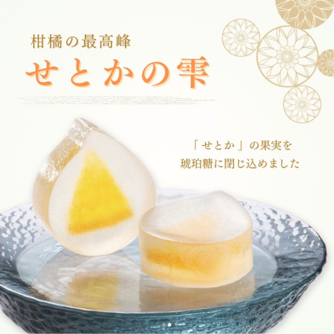 永楽屋】柑橘の最高峰！せとかの雫のご案内 | 永楽屋 | 大丸京都店公式