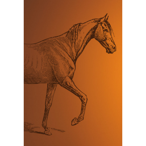 🐎PG HORSE🐎 | パーリーゲイツ | 大丸京都店公式 SHOP BLOG