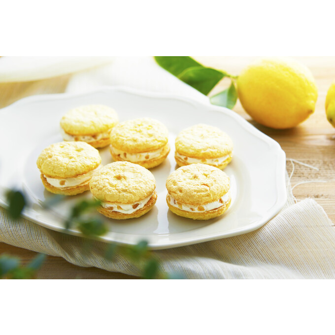 【期間限定】ふわふわレモンクリームサンド🍋レモンスイーツ専門店が登場！！