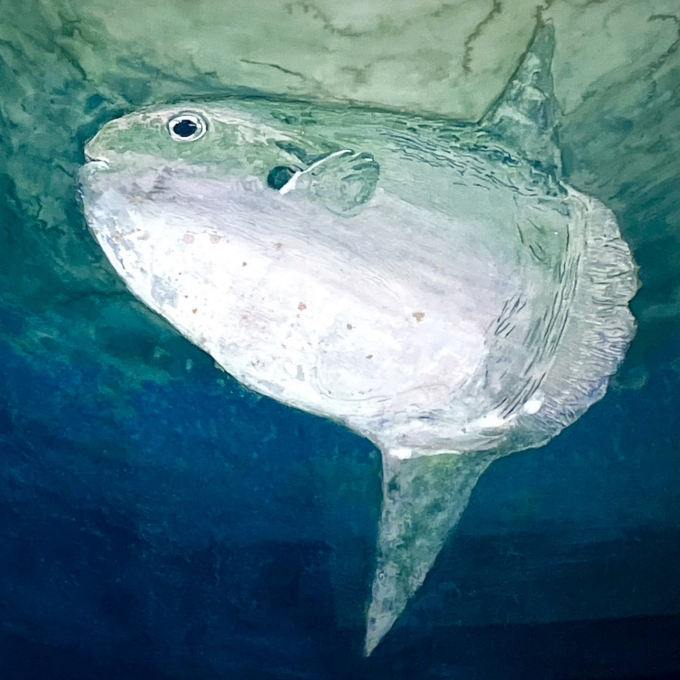 ～俊英作家による日本画展～ 一期一絵