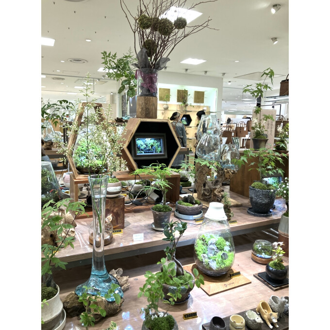 素材を愉しむ丁寧な暮らし