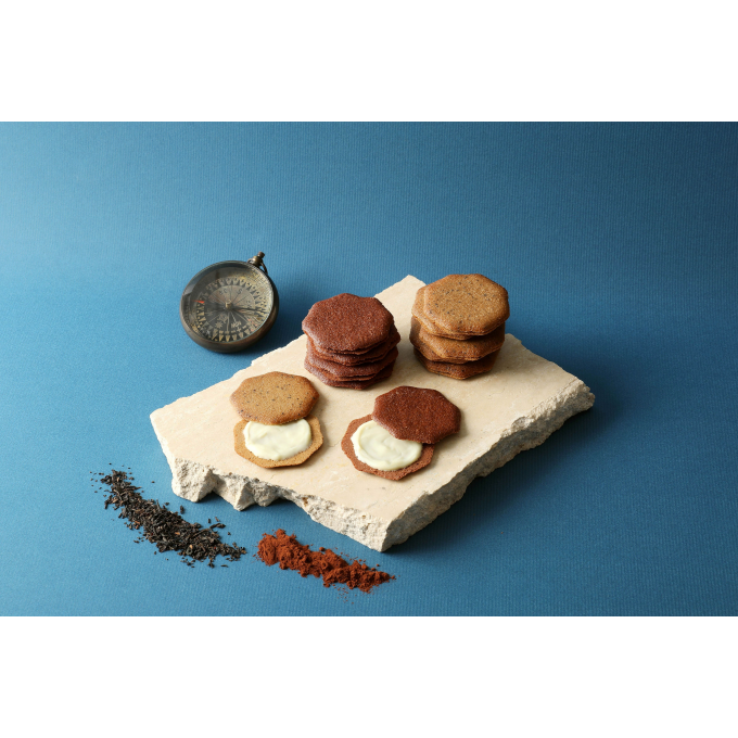 【ベルプラージュ】新商品のご案内🧭