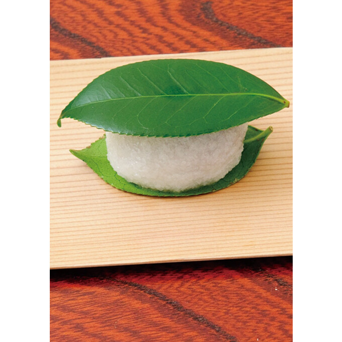 ＜老松＞　椿餅