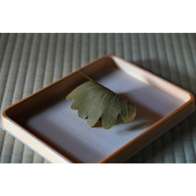 ＜老松＞　柏餅