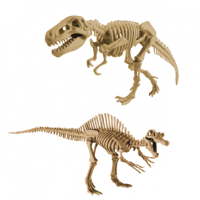 気分はまるで考古学者🔨恐竜の骨を発掘しよう🦕🦖