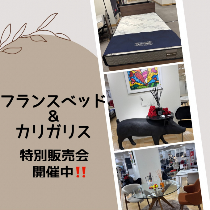 📣フランスベッド特別販売会開催中‼️