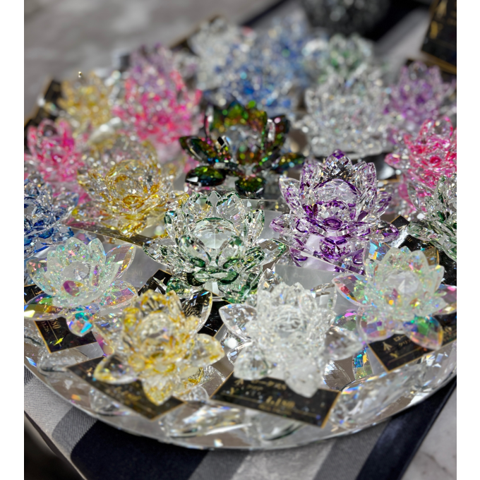 イベント📣キラキラ✨好きさん注目♡