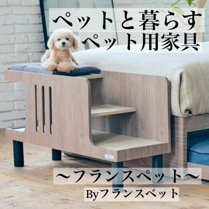 イベント📣　〜ペットとの暮らし〜🐶ペット家具のご紹介