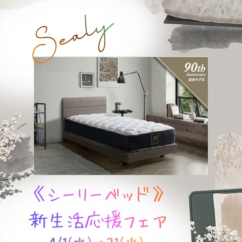 《シーリーベッド》新生活応援フェア📣