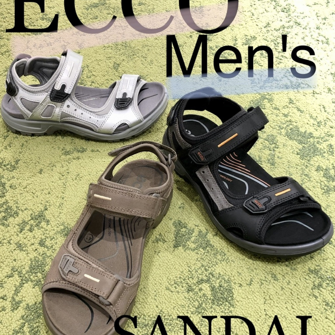 〚ECCO〛メンズサンダル入荷!!