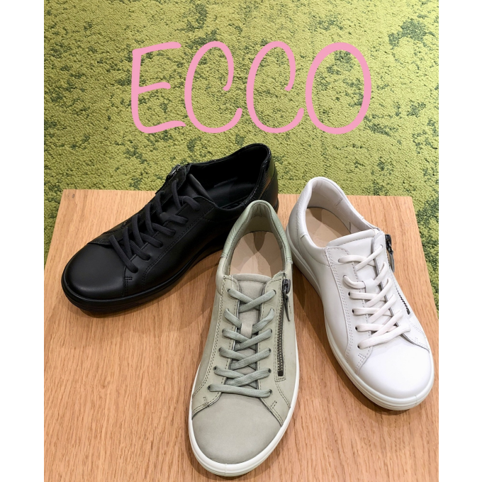 〚ECCO〛NEW_カラー‼︎