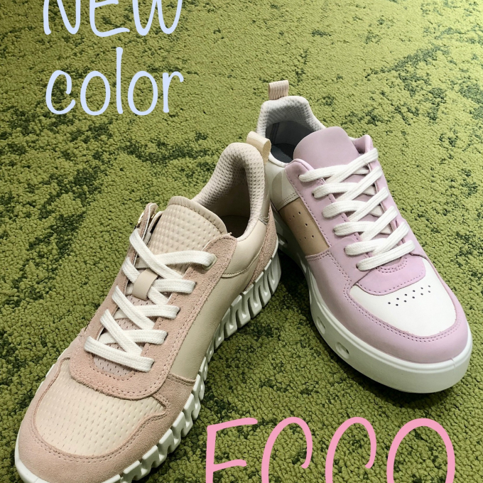 〚ECCO〛追加カラー入荷!!