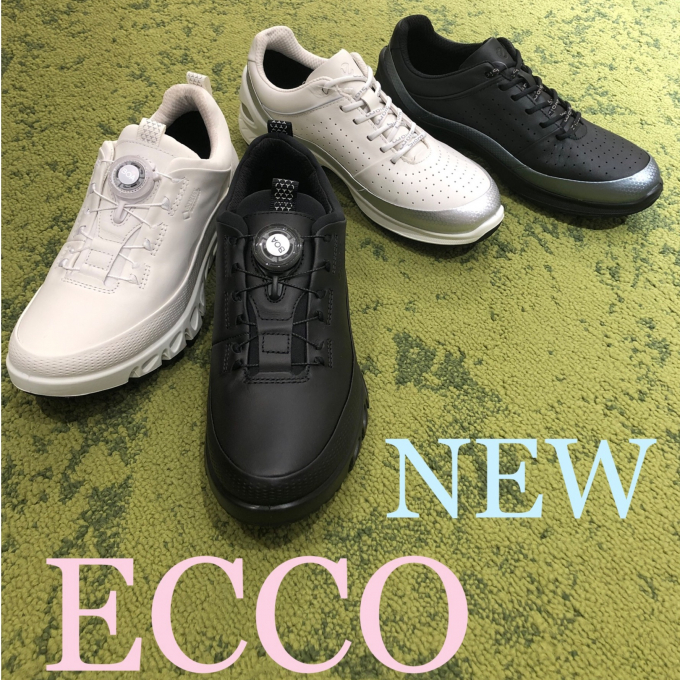 【ECCO】NEWシューズ‼︎
