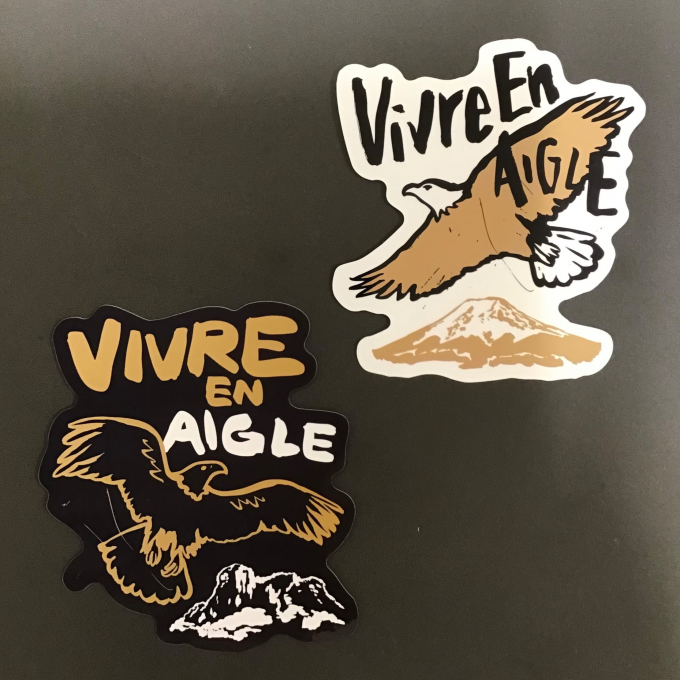 コレクション数量限定発売！