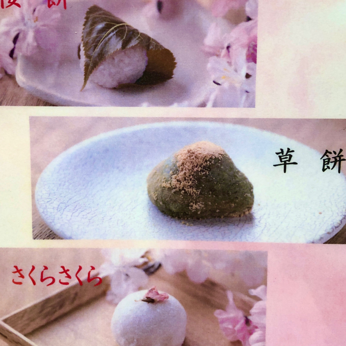 笹屋伊織　季節限定　春の生菓子