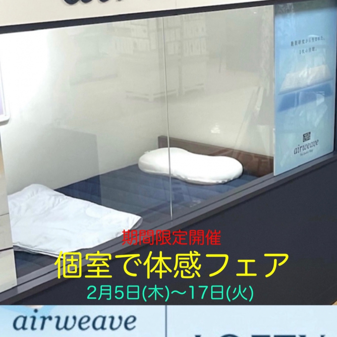 ご体感フェア🌟