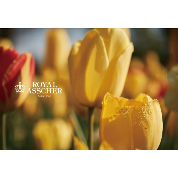 ロイヤル・アッシャーフェア開催中！