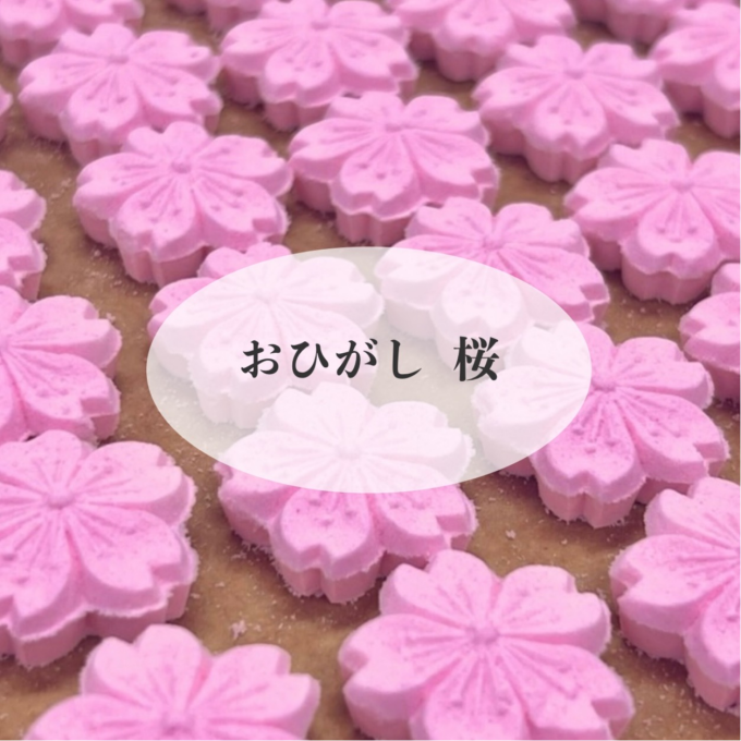 【永楽屋】春を映す桜のおひがしご案内