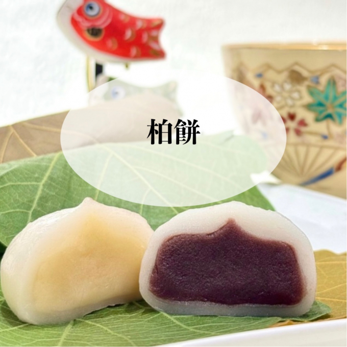 【永楽屋】縁起の良い柏餅のご案内🎏✨
