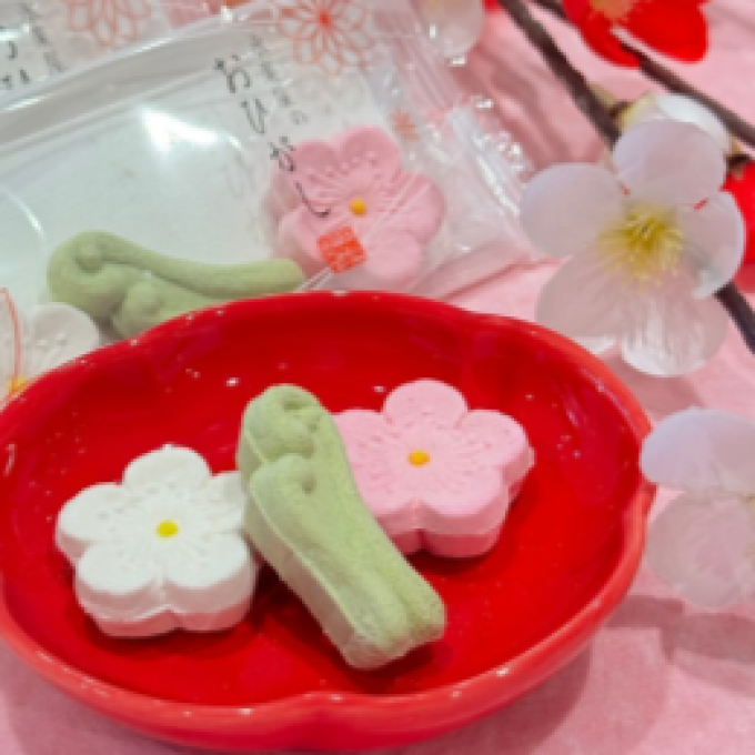 【永楽屋】ひと足早い、春のかたち　おひがし梅・早蕨のご案内