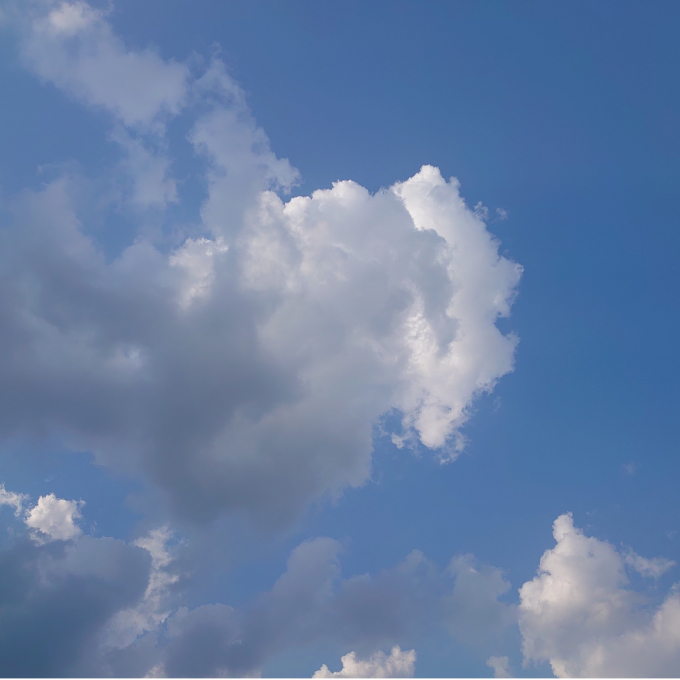 始まりました‼️WBC⚾️⚾️