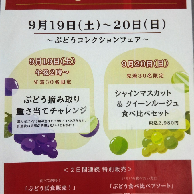 ぶどう🍇フェア開催