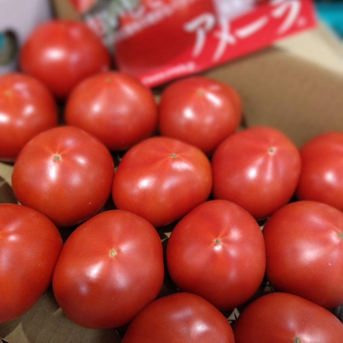 ツキ初め市✨✨