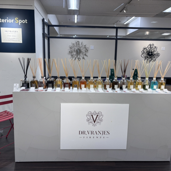 インテリアスポット✨ドットール・ヴラニエス✨数量限定プレゼントキャンペーン中