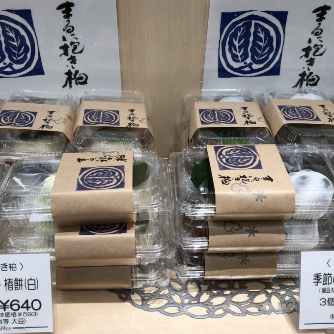 まるに抱き柏　2月毎週月曜入荷🌟