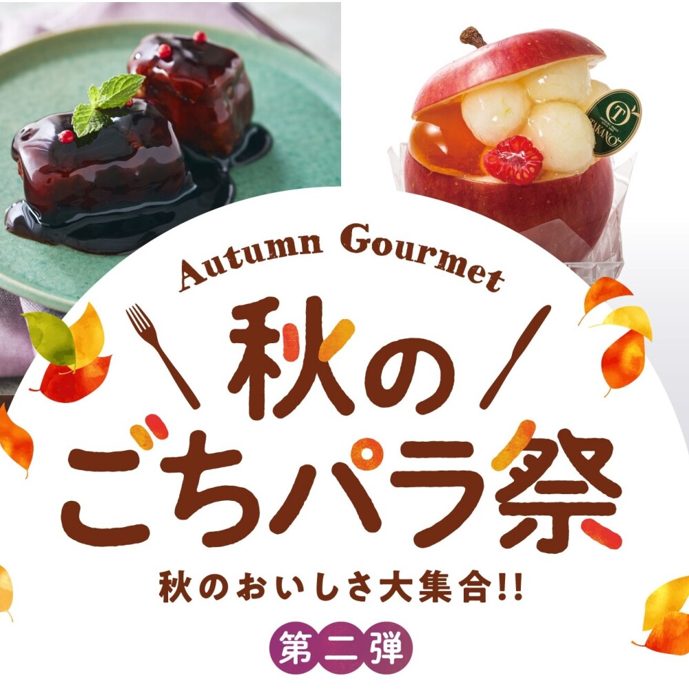 テレビ放映商品のご案内(メ~テレ「ドデスカ」)