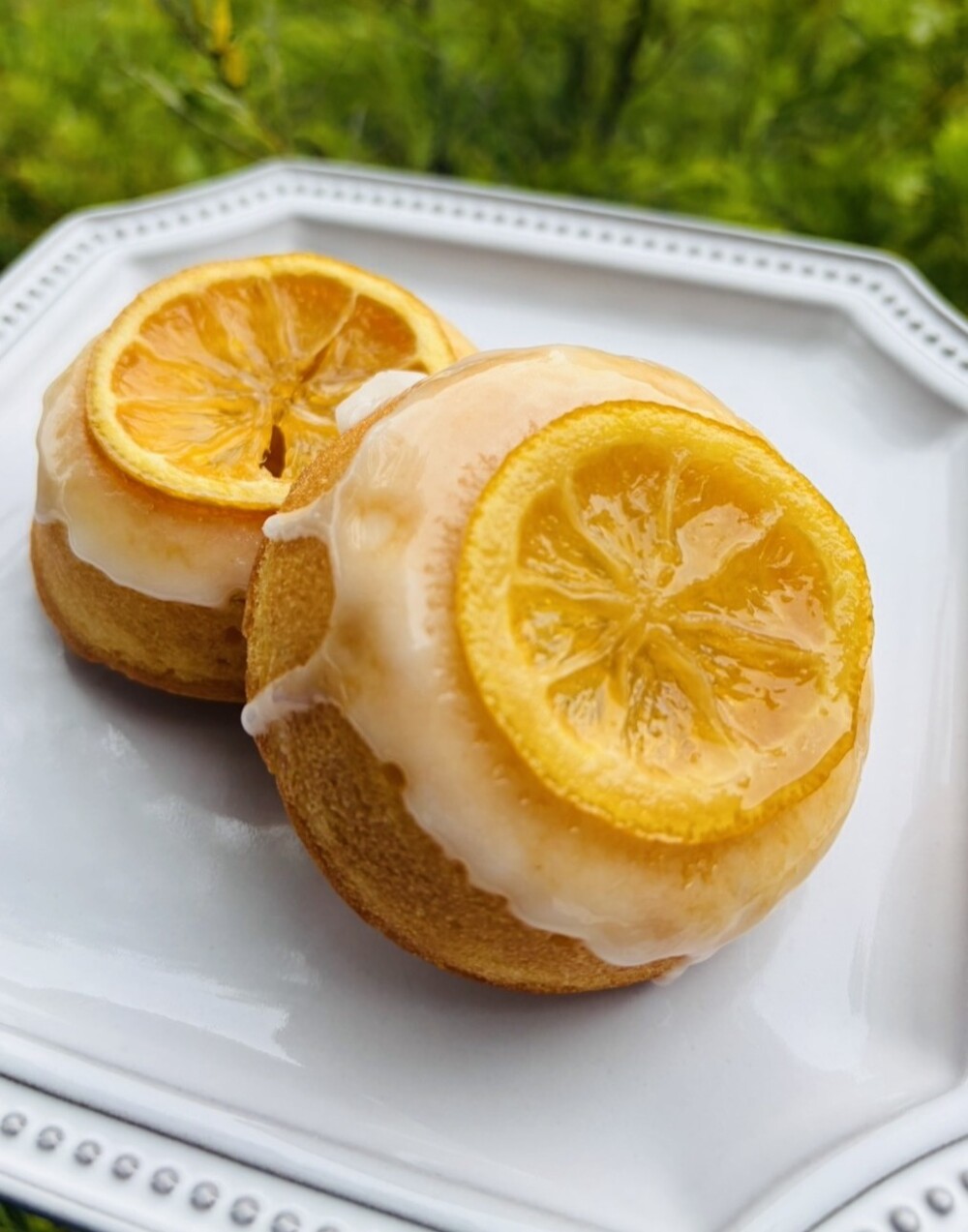 〈テーラ・テール〉ケーキドーナツ　レモン