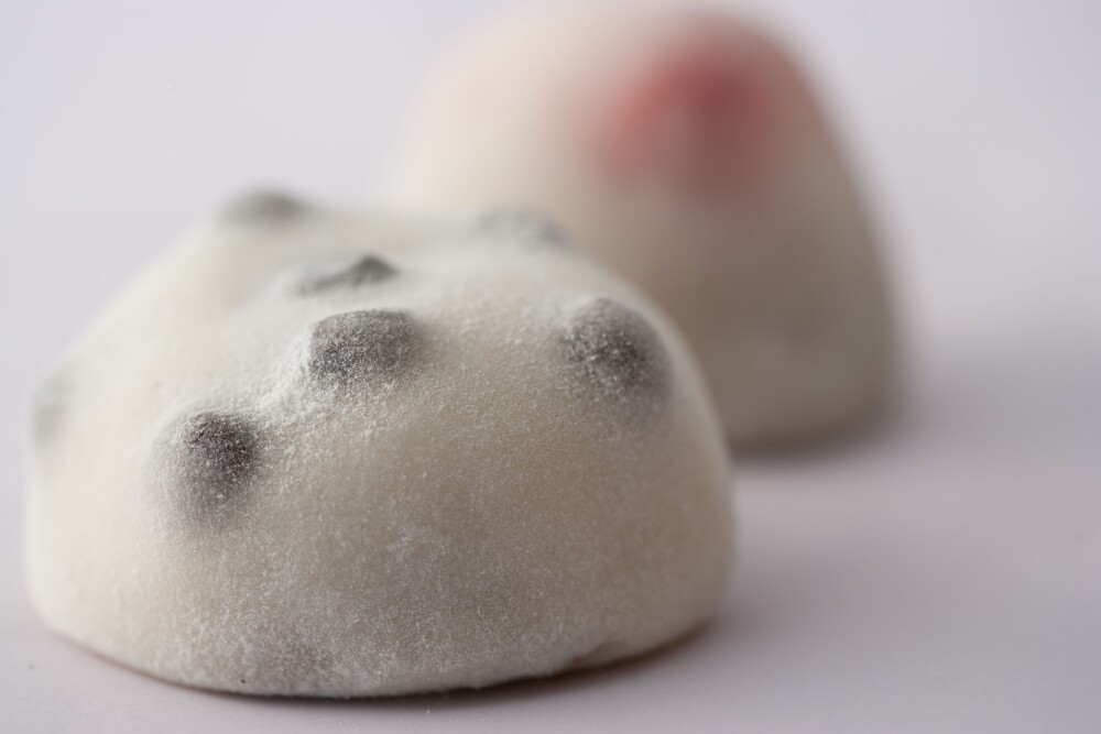 【山田餅本店】限定販売　2月11日（水）→17日（火）